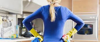 Чем отличается сухая уборка от влажной